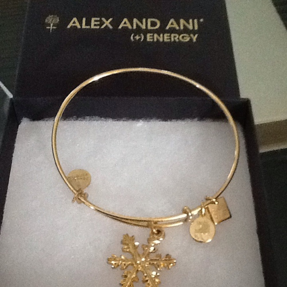Alex and Ani bracelet